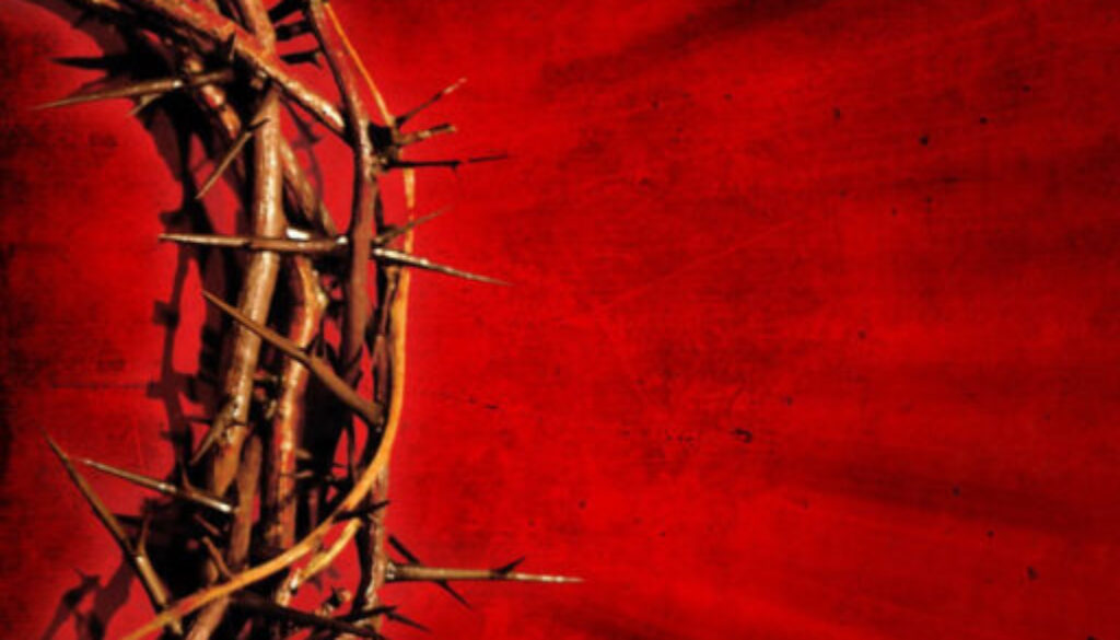 crown of thorns