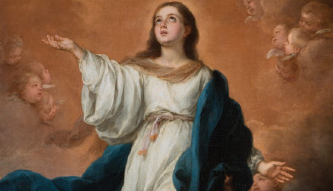 Mary: Mission Impossible, Divine Interruption